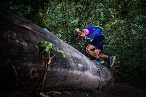 BIB: 
                            <button type="button" onclick="openModal(13519321)" class="btn btn-primary btn-sm float-right btn-popup" data-toggle="modal" data-target=".modal-high-quality">
                        <i class="fas fa-shopping-cart"></i> Add to Cart
                    </button>
                                            <button type="button" onclick="isThisMe(13519321, true)" class="btn btn-success btn-sm float-right btn-popup btn-isme hidden" data-toggle="tooltip" data-placement="bottom" title="นี่คือรูปของคุณใช่ไหม คลิกที่นี่เพื่อเอาเข้าอัลบั้ม">
                        <i class="fas fa-plus"></i> Add to album
                    </button>
                    <button type="button" onclick="isThisMe(13519321, false)" class="btn btn-warning btn-sm float-right btn-popup btn-isnotme hidden">
                        <i class="fas fa-ban"></i> Remove from album
                    </button>