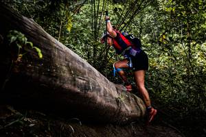 BIB: 
                            <button type="button" onclick="openModal(13525921)" class="btn btn-primary btn-sm float-right btn-popup" data-toggle="modal" data-target=".modal-high-quality">
                        <i class="fas fa-shopping-cart"></i> Add to Cart
                    </button>
                                            <button type="button" onclick="isThisMe(13525921, true)" class="btn btn-success btn-sm float-right btn-popup btn-isme hidden" data-toggle="tooltip" data-placement="bottom" title="นี่คือรูปของคุณใช่ไหม คลิกที่นี่เพื่อเอาเข้าอัลบั้ม">
                        <i class="fas fa-plus"></i> Add to album
                    </button>
                    <button type="button" onclick="isThisMe(13525921, false)" class="btn btn-warning btn-sm float-right btn-popup btn-isnotme hidden">
                        <i class="fas fa-ban"></i> Remove from album
                    </button>