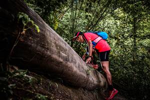 BIB: 
                            <button type="button" onclick="openModal(13523820)" class="btn btn-primary btn-sm float-right btn-popup" data-toggle="modal" data-target=".modal-high-quality">
                        <i class="fas fa-shopping-cart"></i> Add to Cart
                    </button>
                                            <button type="button" onclick="isThisMe(13523820, true)" class="btn btn-success btn-sm float-right btn-popup btn-isme hidden" data-toggle="tooltip" data-placement="bottom" title="นี่คือรูปของคุณใช่ไหม คลิกที่นี่เพื่อเอาเข้าอัลบั้ม">
                        <i class="fas fa-plus"></i> Add to album
                    </button>
                    <button type="button" onclick="isThisMe(13523820, false)" class="btn btn-warning btn-sm float-right btn-popup btn-isnotme hidden">
                        <i class="fas fa-ban"></i> Remove from album
                    </button>