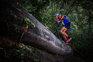 BIB: 
                            <button type="button" onclick="openModal(13519582)" class="btn btn-primary btn-sm float-right btn-popup" data-toggle="modal" data-target=".modal-high-quality">
                        <i class="fas fa-shopping-cart"></i> Add to Cart
                    </button>
                                            <button type="button" onclick="isThisMe(13519582, true)" class="btn btn-success btn-sm float-right btn-popup btn-isme hidden" data-toggle="tooltip" data-placement="bottom" title="นี่คือรูปของคุณใช่ไหม คลิกที่นี่เพื่อเอาเข้าอัลบั้ม">
                        <i class="fas fa-plus"></i> Add to album
                    </button>
                    <button type="button" onclick="isThisMe(13519582, false)" class="btn btn-warning btn-sm float-right btn-popup btn-isnotme hidden">
                        <i class="fas fa-ban"></i> Remove from album
                    </button>