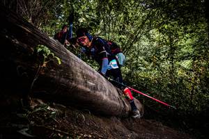 BIB: 
                            <button type="button" onclick="openModal(13525652)" class="btn btn-primary btn-sm float-right btn-popup" data-toggle="modal" data-target=".modal-high-quality">
                        <i class="fas fa-shopping-cart"></i> Add to Cart
                    </button>
                                            <button type="button" onclick="isThisMe(13525652, true)" class="btn btn-success btn-sm float-right btn-popup btn-isme hidden" data-toggle="tooltip" data-placement="bottom" title="นี่คือรูปของคุณใช่ไหม คลิกที่นี่เพื่อเอาเข้าอัลบั้ม">
                        <i class="fas fa-plus"></i> Add to album
                    </button>
                    <button type="button" onclick="isThisMe(13525652, false)" class="btn btn-warning btn-sm float-right btn-popup btn-isnotme hidden">
                        <i class="fas fa-ban"></i> Remove from album
                    </button>