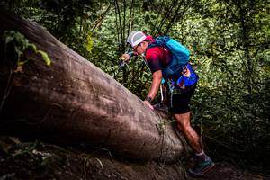 BIB: 
                            <button type="button" onclick="openModal(13523797)" class="btn btn-primary btn-sm float-right btn-popup" data-toggle="modal" data-target=".modal-high-quality">
                        <i class="fas fa-shopping-cart"></i> Add to Cart
                    </button>
                                            <button type="button" onclick="isThisMe(13523797, true)" class="btn btn-success btn-sm float-right btn-popup btn-isme hidden" data-toggle="tooltip" data-placement="bottom" title="นี่คือรูปของคุณใช่ไหม คลิกที่นี่เพื่อเอาเข้าอัลบั้ม">
                        <i class="fas fa-plus"></i> Add to album
                    </button>
                    <button type="button" onclick="isThisMe(13523797, false)" class="btn btn-warning btn-sm float-right btn-popup btn-isnotme hidden">
                        <i class="fas fa-ban"></i> Remove from album
                    </button>