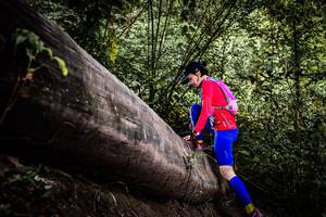 BIB: 
                            <button type="button" onclick="openModal(13523793)" class="btn btn-primary btn-sm float-right btn-popup" data-toggle="modal" data-target=".modal-high-quality">
                        <i class="fas fa-shopping-cart"></i> Add to Cart
                    </button>
                                            <button type="button" onclick="isThisMe(13523793, true)" class="btn btn-success btn-sm float-right btn-popup btn-isme hidden" data-toggle="tooltip" data-placement="bottom" title="นี่คือรูปของคุณใช่ไหม คลิกที่นี่เพื่อเอาเข้าอัลบั้ม">
                        <i class="fas fa-plus"></i> Add to album
                    </button>
                    <button type="button" onclick="isThisMe(13523793, false)" class="btn btn-warning btn-sm float-right btn-popup btn-isnotme hidden">
                        <i class="fas fa-ban"></i> Remove from album
                    </button>