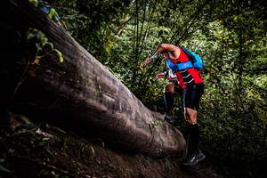 BIB: 
                            <button type="button" onclick="openModal(13525668)" class="btn btn-primary btn-sm float-right btn-popup" data-toggle="modal" data-target=".modal-high-quality">
                        <i class="fas fa-shopping-cart"></i> Add to Cart
                    </button>
                                            <button type="button" onclick="isThisMe(13525668, true)" class="btn btn-success btn-sm float-right btn-popup btn-isme hidden" data-toggle="tooltip" data-placement="bottom" title="นี่คือรูปของคุณใช่ไหม คลิกที่นี่เพื่อเอาเข้าอัลบั้ม">
                        <i class="fas fa-plus"></i> Add to album
                    </button>
                    <button type="button" onclick="isThisMe(13525668, false)" class="btn btn-warning btn-sm float-right btn-popup btn-isnotme hidden">
                        <i class="fas fa-ban"></i> Remove from album
                    </button>