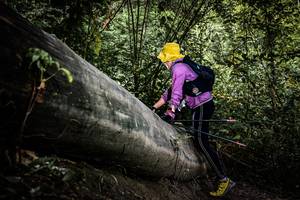 BIB: 
                            <button type="button" onclick="openModal(13522967)" class="btn btn-primary btn-sm float-right btn-popup" data-toggle="modal" data-target=".modal-high-quality">
                        <i class="fas fa-shopping-cart"></i> Add to Cart
                    </button>
                                            <button type="button" onclick="isThisMe(13522967, true)" class="btn btn-success btn-sm float-right btn-popup btn-isme hidden" data-toggle="tooltip" data-placement="bottom" title="นี่คือรูปของคุณใช่ไหม คลิกที่นี่เพื่อเอาเข้าอัลบั้ม">
                        <i class="fas fa-plus"></i> Add to album
                    </button>
                    <button type="button" onclick="isThisMe(13522967, false)" class="btn btn-warning btn-sm float-right btn-popup btn-isnotme hidden">
                        <i class="fas fa-ban"></i> Remove from album
                    </button>