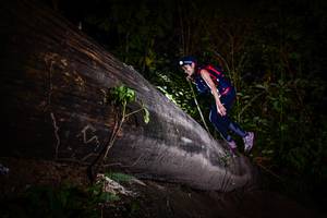 BIB: 
                            <button type="button" onclick="openModal(13518805)" class="btn btn-primary btn-sm float-right btn-popup" data-toggle="modal" data-target=".modal-high-quality">
                        <i class="fas fa-shopping-cart"></i> Add to Cart
                    </button>
                                            <button type="button" onclick="isThisMe(13518805, true)" class="btn btn-success btn-sm float-right btn-popup btn-isme hidden" data-toggle="tooltip" data-placement="bottom" title="นี่คือรูปของคุณใช่ไหม คลิกที่นี่เพื่อเอาเข้าอัลบั้ม">
                        <i class="fas fa-plus"></i> Add to album
                    </button>
                    <button type="button" onclick="isThisMe(13518805, false)" class="btn btn-warning btn-sm float-right btn-popup btn-isnotme hidden">
                        <i class="fas fa-ban"></i> Remove from album
                    </button>