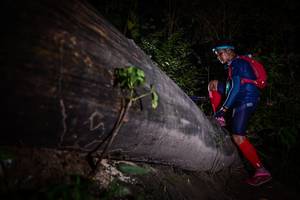 BIB: 
                            <button type="button" onclick="openModal(13517925)" class="btn btn-primary btn-sm float-right btn-popup" data-toggle="modal" data-target=".modal-high-quality">
                        <i class="fas fa-shopping-cart"></i> Add to Cart
                    </button>
                                            <button type="button" onclick="isThisMe(13517925, true)" class="btn btn-success btn-sm float-right btn-popup btn-isme hidden" data-toggle="tooltip" data-placement="bottom" title="นี่คือรูปของคุณใช่ไหม คลิกที่นี่เพื่อเอาเข้าอัลบั้ม">
                        <i class="fas fa-plus"></i> Add to album
                    </button>
                    <button type="button" onclick="isThisMe(13517925, false)" class="btn btn-warning btn-sm float-right btn-popup btn-isnotme hidden">
                        <i class="fas fa-ban"></i> Remove from album
                    </button>