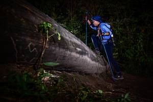 BIB: 
                            <button type="button" onclick="openModal(13518956)" class="btn btn-primary btn-sm float-right btn-popup" data-toggle="modal" data-target=".modal-high-quality">
                        <i class="fas fa-shopping-cart"></i> Add to Cart
                    </button>
                                            <button type="button" onclick="isThisMe(13518956, true)" class="btn btn-success btn-sm float-right btn-popup btn-isme hidden" data-toggle="tooltip" data-placement="bottom" title="นี่คือรูปของคุณใช่ไหม คลิกที่นี่เพื่อเอาเข้าอัลบั้ม">
                        <i class="fas fa-plus"></i> Add to album
                    </button>
                    <button type="button" onclick="isThisMe(13518956, false)" class="btn btn-warning btn-sm float-right btn-popup btn-isnotme hidden">
                        <i class="fas fa-ban"></i> Remove from album
                    </button>