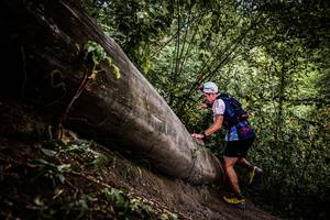 BIB: 
                            <button type="button" onclick="openModal(13523987)" class="btn btn-primary btn-sm float-right btn-popup" data-toggle="modal" data-target=".modal-high-quality">
                        <i class="fas fa-shopping-cart"></i> Add to Cart
                    </button>
                                            <button type="button" onclick="isThisMe(13523987, true)" class="btn btn-success btn-sm float-right btn-popup btn-isme hidden" data-toggle="tooltip" data-placement="bottom" title="นี่คือรูปของคุณใช่ไหม คลิกที่นี่เพื่อเอาเข้าอัลบั้ม">
                        <i class="fas fa-plus"></i> Add to album
                    </button>
                    <button type="button" onclick="isThisMe(13523987, false)" class="btn btn-warning btn-sm float-right btn-popup btn-isnotme hidden">
                        <i class="fas fa-ban"></i> Remove from album
                    </button>