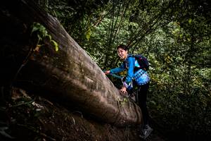 BIB: 
                            <button type="button" onclick="openModal(13525502)" class="btn btn-primary btn-sm float-right btn-popup" data-toggle="modal" data-target=".modal-high-quality">
                        <i class="fas fa-shopping-cart"></i> Add to Cart
                    </button>
                                            <button type="button" onclick="isThisMe(13525502, true)" class="btn btn-success btn-sm float-right btn-popup btn-isme hidden" data-toggle="tooltip" data-placement="bottom" title="นี่คือรูปของคุณใช่ไหม คลิกที่นี่เพื่อเอาเข้าอัลบั้ม">
                        <i class="fas fa-plus"></i> Add to album
                    </button>
                    <button type="button" onclick="isThisMe(13525502, false)" class="btn btn-warning btn-sm float-right btn-popup btn-isnotme hidden">
                        <i class="fas fa-ban"></i> Remove from album
                    </button>