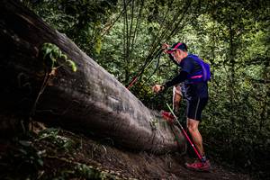 BIB: 
                            <button type="button" onclick="openModal(13523672)" class="btn btn-primary btn-sm float-right btn-popup" data-toggle="modal" data-target=".modal-high-quality">
                        <i class="fas fa-shopping-cart"></i> Add to Cart
                    </button>
                                            <button type="button" onclick="isThisMe(13523672, true)" class="btn btn-success btn-sm float-right btn-popup btn-isme hidden" data-toggle="tooltip" data-placement="bottom" title="นี่คือรูปของคุณใช่ไหม คลิกที่นี่เพื่อเอาเข้าอัลบั้ม">
                        <i class="fas fa-plus"></i> Add to album
                    </button>
                    <button type="button" onclick="isThisMe(13523672, false)" class="btn btn-warning btn-sm float-right btn-popup btn-isnotme hidden">
                        <i class="fas fa-ban"></i> Remove from album
                    </button>