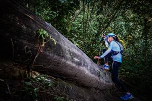 BIB: 
                            <button type="button" onclick="openModal(13519578)" class="btn btn-primary btn-sm float-right btn-popup" data-toggle="modal" data-target=".modal-high-quality">
                        <i class="fas fa-shopping-cart"></i> Add to Cart
                    </button>
                                            <button type="button" onclick="isThisMe(13519578, true)" class="btn btn-success btn-sm float-right btn-popup btn-isme hidden" data-toggle="tooltip" data-placement="bottom" title="นี่คือรูปของคุณใช่ไหม คลิกที่นี่เพื่อเอาเข้าอัลบั้ม">
                        <i class="fas fa-plus"></i> Add to album
                    </button>
                    <button type="button" onclick="isThisMe(13519578, false)" class="btn btn-warning btn-sm float-right btn-popup btn-isnotme hidden">
                        <i class="fas fa-ban"></i> Remove from album
                    </button>