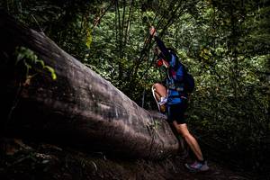 BIB: 
                            <button type="button" onclick="openModal(13525389)" class="btn btn-primary btn-sm float-right btn-popup" data-toggle="modal" data-target=".modal-high-quality">
                        <i class="fas fa-shopping-cart"></i> Add to Cart
                    </button>
                                            <button type="button" onclick="isThisMe(13525389, true)" class="btn btn-success btn-sm float-right btn-popup btn-isme hidden" data-toggle="tooltip" data-placement="bottom" title="นี่คือรูปของคุณใช่ไหม คลิกที่นี่เพื่อเอาเข้าอัลบั้ม">
                        <i class="fas fa-plus"></i> Add to album
                    </button>
                    <button type="button" onclick="isThisMe(13525389, false)" class="btn btn-warning btn-sm float-right btn-popup btn-isnotme hidden">
                        <i class="fas fa-ban"></i> Remove from album
                    </button>