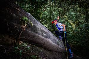 BIB: 
                            <button type="button" onclick="openModal(13519604)" class="btn btn-primary btn-sm float-right btn-popup" data-toggle="modal" data-target=".modal-high-quality">
                        <i class="fas fa-shopping-cart"></i> Add to Cart
                    </button>
                                            <button type="button" onclick="isThisMe(13519604, true)" class="btn btn-success btn-sm float-right btn-popup btn-isme hidden" data-toggle="tooltip" data-placement="bottom" title="นี่คือรูปของคุณใช่ไหม คลิกที่นี่เพื่อเอาเข้าอัลบั้ม">
                        <i class="fas fa-plus"></i> Add to album
                    </button>
                    <button type="button" onclick="isThisMe(13519604, false)" class="btn btn-warning btn-sm float-right btn-popup btn-isnotme hidden">
                        <i class="fas fa-ban"></i> Remove from album
                    </button>