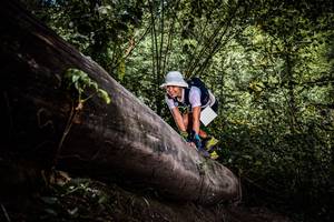 BIB: 
                            <button type="button" onclick="openModal(13523212)" class="btn btn-primary btn-sm float-right btn-popup" data-toggle="modal" data-target=".modal-high-quality">
                        <i class="fas fa-shopping-cart"></i> Add to Cart
                    </button>
                                            <button type="button" onclick="isThisMe(13523212, true)" class="btn btn-success btn-sm float-right btn-popup btn-isme hidden" data-toggle="tooltip" data-placement="bottom" title="นี่คือรูปของคุณใช่ไหม คลิกที่นี่เพื่อเอาเข้าอัลบั้ม">
                        <i class="fas fa-plus"></i> Add to album
                    </button>
                    <button type="button" onclick="isThisMe(13523212, false)" class="btn btn-warning btn-sm float-right btn-popup btn-isnotme hidden">
                        <i class="fas fa-ban"></i> Remove from album
                    </button>