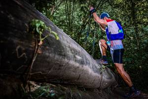 BIB: 
                            <button type="button" onclick="openModal(13519732)" class="btn btn-primary btn-sm float-right btn-popup" data-toggle="modal" data-target=".modal-high-quality">
                        <i class="fas fa-shopping-cart"></i> Add to Cart
                    </button>
                                            <button type="button" onclick="isThisMe(13519732, true)" class="btn btn-success btn-sm float-right btn-popup btn-isme hidden" data-toggle="tooltip" data-placement="bottom" title="นี่คือรูปของคุณใช่ไหม คลิกที่นี่เพื่อเอาเข้าอัลบั้ม">
                        <i class="fas fa-plus"></i> Add to album
                    </button>
                    <button type="button" onclick="isThisMe(13519732, false)" class="btn btn-warning btn-sm float-right btn-popup btn-isnotme hidden">
                        <i class="fas fa-ban"></i> Remove from album
                    </button>