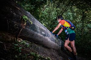 BIB: 
                            <button type="button" onclick="openModal(13519593)" class="btn btn-primary btn-sm float-right btn-popup" data-toggle="modal" data-target=".modal-high-quality">
                        <i class="fas fa-shopping-cart"></i> Add to Cart
                    </button>
                                            <button type="button" onclick="isThisMe(13519593, true)" class="btn btn-success btn-sm float-right btn-popup btn-isme hidden" data-toggle="tooltip" data-placement="bottom" title="นี่คือรูปของคุณใช่ไหม คลิกที่นี่เพื่อเอาเข้าอัลบั้ม">
                        <i class="fas fa-plus"></i> Add to album
                    </button>
                    <button type="button" onclick="isThisMe(13519593, false)" class="btn btn-warning btn-sm float-right btn-popup btn-isnotme hidden">
                        <i class="fas fa-ban"></i> Remove from album
                    </button>