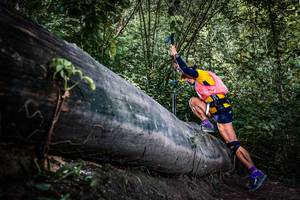 BIB: 
                            <button type="button" onclick="openModal(13519978)" class="btn btn-primary btn-sm float-right btn-popup" data-toggle="modal" data-target=".modal-high-quality">
                        <i class="fas fa-shopping-cart"></i> Add to Cart
                    </button>
                                            <button type="button" onclick="isThisMe(13519978, true)" class="btn btn-success btn-sm float-right btn-popup btn-isme hidden" data-toggle="tooltip" data-placement="bottom" title="นี่คือรูปของคุณใช่ไหม คลิกที่นี่เพื่อเอาเข้าอัลบั้ม">
                        <i class="fas fa-plus"></i> Add to album
                    </button>
                    <button type="button" onclick="isThisMe(13519978, false)" class="btn btn-warning btn-sm float-right btn-popup btn-isnotme hidden">
                        <i class="fas fa-ban"></i> Remove from album
                    </button>