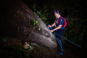 BIB: 
                            <button type="button" onclick="openModal(13518377)" class="btn btn-primary btn-sm float-right btn-popup" data-toggle="modal" data-target=".modal-high-quality">
                        <i class="fas fa-shopping-cart"></i> Add to Cart
                    </button>
                                            <button type="button" onclick="isThisMe(13518377, true)" class="btn btn-success btn-sm float-right btn-popup btn-isme hidden" data-toggle="tooltip" data-placement="bottom" title="นี่คือรูปของคุณใช่ไหม คลิกที่นี่เพื่อเอาเข้าอัลบั้ม">
                        <i class="fas fa-plus"></i> Add to album
                    </button>
                    <button type="button" onclick="isThisMe(13518377, false)" class="btn btn-warning btn-sm float-right btn-popup btn-isnotme hidden">
                        <i class="fas fa-ban"></i> Remove from album
                    </button>