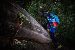 BIB: 
                            <button type="button" onclick="openModal(13519254)" class="btn btn-primary btn-sm float-right btn-popup" data-toggle="modal" data-target=".modal-high-quality">
                        <i class="fas fa-shopping-cart"></i> Add to Cart
                    </button>
                                            <button type="button" onclick="isThisMe(13519254, true)" class="btn btn-success btn-sm float-right btn-popup btn-isme hidden" data-toggle="tooltip" data-placement="bottom" title="นี่คือรูปของคุณใช่ไหม คลิกที่นี่เพื่อเอาเข้าอัลบั้ม">
                        <i class="fas fa-plus"></i> Add to album
                    </button>
                    <button type="button" onclick="isThisMe(13519254, false)" class="btn btn-warning btn-sm float-right btn-popup btn-isnotme hidden">
                        <i class="fas fa-ban"></i> Remove from album
                    </button>