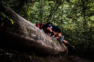 BIB: 
                            <button type="button" onclick="openModal(13525699)" class="btn btn-primary btn-sm float-right btn-popup" data-toggle="modal" data-target=".modal-high-quality">
                        <i class="fas fa-shopping-cart"></i> Add to Cart
                    </button>
                                            <button type="button" onclick="isThisMe(13525699, true)" class="btn btn-success btn-sm float-right btn-popup btn-isme hidden" data-toggle="tooltip" data-placement="bottom" title="นี่คือรูปของคุณใช่ไหม คลิกที่นี่เพื่อเอาเข้าอัลบั้ม">
                        <i class="fas fa-plus"></i> Add to album
                    </button>
                    <button type="button" onclick="isThisMe(13525699, false)" class="btn btn-warning btn-sm float-right btn-popup btn-isnotme hidden">
                        <i class="fas fa-ban"></i> Remove from album
                    </button>