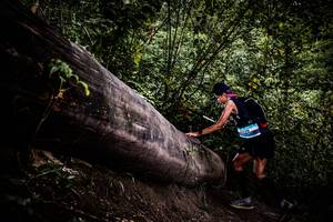 BIB: 
                            <button type="button" onclick="openModal(13525423)" class="btn btn-primary btn-sm float-right btn-popup" data-toggle="modal" data-target=".modal-high-quality">
                        <i class="fas fa-shopping-cart"></i> Add to Cart
                    </button>
                                            <button type="button" onclick="isThisMe(13525423, true)" class="btn btn-success btn-sm float-right btn-popup btn-isme hidden" data-toggle="tooltip" data-placement="bottom" title="นี่คือรูปของคุณใช่ไหม คลิกที่นี่เพื่อเอาเข้าอัลบั้ม">
                        <i class="fas fa-plus"></i> Add to album
                    </button>
                    <button type="button" onclick="isThisMe(13525423, false)" class="btn btn-warning btn-sm float-right btn-popup btn-isnotme hidden">
                        <i class="fas fa-ban"></i> Remove from album
                    </button>