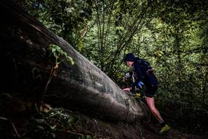 BIB: 
                            <button type="button" onclick="openModal(13523237)" class="btn btn-primary btn-sm float-right btn-popup" data-toggle="modal" data-target=".modal-high-quality">
                        <i class="fas fa-shopping-cart"></i> Add to Cart
                    </button>
                                            <button type="button" onclick="isThisMe(13523237, true)" class="btn btn-success btn-sm float-right btn-popup btn-isme hidden" data-toggle="tooltip" data-placement="bottom" title="นี่คือรูปของคุณใช่ไหม คลิกที่นี่เพื่อเอาเข้าอัลบั้ม">
                        <i class="fas fa-plus"></i> Add to album
                    </button>
                    <button type="button" onclick="isThisMe(13523237, false)" class="btn btn-warning btn-sm float-right btn-popup btn-isnotme hidden">
                        <i class="fas fa-ban"></i> Remove from album
                    </button>