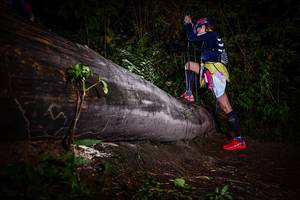 BIB: 
                            <button type="button" onclick="openModal(13518921)" class="btn btn-primary btn-sm float-right btn-popup" data-toggle="modal" data-target=".modal-high-quality">
                        <i class="fas fa-shopping-cart"></i> Add to Cart
                    </button>
                                            <button type="button" onclick="isThisMe(13518921, true)" class="btn btn-success btn-sm float-right btn-popup btn-isme hidden" data-toggle="tooltip" data-placement="bottom" title="นี่คือรูปของคุณใช่ไหม คลิกที่นี่เพื่อเอาเข้าอัลบั้ม">
                        <i class="fas fa-plus"></i> Add to album
                    </button>
                    <button type="button" onclick="isThisMe(13518921, false)" class="btn btn-warning btn-sm float-right btn-popup btn-isnotme hidden">
                        <i class="fas fa-ban"></i> Remove from album
                    </button>