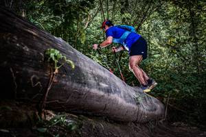 BIB: 
                            <button type="button" onclick="openModal(13520006)" class="btn btn-primary btn-sm float-right btn-popup" data-toggle="modal" data-target=".modal-high-quality">
                        <i class="fas fa-shopping-cart"></i> Add to Cart
                    </button>
                                            <button type="button" onclick="isThisMe(13520006, true)" class="btn btn-success btn-sm float-right btn-popup btn-isme hidden" data-toggle="tooltip" data-placement="bottom" title="นี่คือรูปของคุณใช่ไหม คลิกที่นี่เพื่อเอาเข้าอัลบั้ม">
                        <i class="fas fa-plus"></i> Add to album
                    </button>
                    <button type="button" onclick="isThisMe(13520006, false)" class="btn btn-warning btn-sm float-right btn-popup btn-isnotme hidden">
                        <i class="fas fa-ban"></i> Remove from album
                    </button>