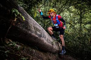 BIB: 
                            <button type="button" onclick="openModal(13523819)" class="btn btn-primary btn-sm float-right btn-popup" data-toggle="modal" data-target=".modal-high-quality">
                        <i class="fas fa-shopping-cart"></i> Add to Cart
                    </button>
                                            <button type="button" onclick="isThisMe(13523819, true)" class="btn btn-success btn-sm float-right btn-popup btn-isme hidden" data-toggle="tooltip" data-placement="bottom" title="นี่คือรูปของคุณใช่ไหม คลิกที่นี่เพื่อเอาเข้าอัลบั้ม">
                        <i class="fas fa-plus"></i> Add to album
                    </button>
                    <button type="button" onclick="isThisMe(13523819, false)" class="btn btn-warning btn-sm float-right btn-popup btn-isnotme hidden">
                        <i class="fas fa-ban"></i> Remove from album
                    </button>