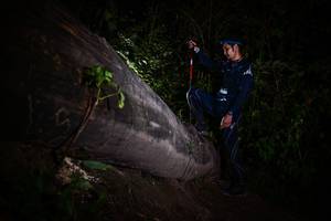 BIB: 
                            <button type="button" onclick="openModal(13518486)" class="btn btn-primary btn-sm float-right btn-popup" data-toggle="modal" data-target=".modal-high-quality">
                        <i class="fas fa-shopping-cart"></i> Add to Cart
                    </button>
                                            <button type="button" onclick="isThisMe(13518486, true)" class="btn btn-success btn-sm float-right btn-popup btn-isme hidden" data-toggle="tooltip" data-placement="bottom" title="นี่คือรูปของคุณใช่ไหม คลิกที่นี่เพื่อเอาเข้าอัลบั้ม">
                        <i class="fas fa-plus"></i> Add to album
                    </button>
                    <button type="button" onclick="isThisMe(13518486, false)" class="btn btn-warning btn-sm float-right btn-popup btn-isnotme hidden">
                        <i class="fas fa-ban"></i> Remove from album
                    </button>