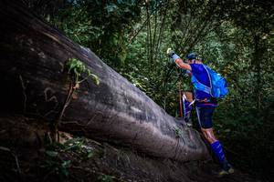 BIB: 
                            <button type="button" onclick="openModal(13519590)" class="btn btn-primary btn-sm float-right btn-popup" data-toggle="modal" data-target=".modal-high-quality">
                        <i class="fas fa-shopping-cart"></i> Add to Cart
                    </button>
                                            <button type="button" onclick="isThisMe(13519590, true)" class="btn btn-success btn-sm float-right btn-popup btn-isme hidden" data-toggle="tooltip" data-placement="bottom" title="นี่คือรูปของคุณใช่ไหม คลิกที่นี่เพื่อเอาเข้าอัลบั้ม">
                        <i class="fas fa-plus"></i> Add to album
                    </button>
                    <button type="button" onclick="isThisMe(13519590, false)" class="btn btn-warning btn-sm float-right btn-popup btn-isnotme hidden">
                        <i class="fas fa-ban"></i> Remove from album
                    </button>