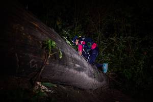 BIB: 
                            <button type="button" onclick="openModal(13518025)" class="btn btn-primary btn-sm float-right btn-popup" data-toggle="modal" data-target=".modal-high-quality">
                        <i class="fas fa-shopping-cart"></i> Add to Cart
                    </button>
                                            <button type="button" onclick="isThisMe(13518025, true)" class="btn btn-success btn-sm float-right btn-popup btn-isme hidden" data-toggle="tooltip" data-placement="bottom" title="นี่คือรูปของคุณใช่ไหม คลิกที่นี่เพื่อเอาเข้าอัลบั้ม">
                        <i class="fas fa-plus"></i> Add to album
                    </button>
                    <button type="button" onclick="isThisMe(13518025, false)" class="btn btn-warning btn-sm float-right btn-popup btn-isnotme hidden">
                        <i class="fas fa-ban"></i> Remove from album
                    </button>