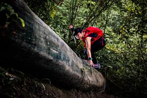 BIB: 
                            <button type="button" onclick="openModal(13525821)" class="btn btn-primary btn-sm float-right btn-popup" data-toggle="modal" data-target=".modal-high-quality">
                        <i class="fas fa-shopping-cart"></i> Add to Cart
                    </button>
                                            <button type="button" onclick="isThisMe(13525821, true)" class="btn btn-success btn-sm float-right btn-popup btn-isme hidden" data-toggle="tooltip" data-placement="bottom" title="นี่คือรูปของคุณใช่ไหม คลิกที่นี่เพื่อเอาเข้าอัลบั้ม">
                        <i class="fas fa-plus"></i> Add to album
                    </button>
                    <button type="button" onclick="isThisMe(13525821, false)" class="btn btn-warning btn-sm float-right btn-popup btn-isnotme hidden">
                        <i class="fas fa-ban"></i> Remove from album
                    </button>