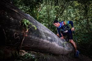 BIB: 
                            <button type="button" onclick="openModal(13519908)" class="btn btn-primary btn-sm float-right btn-popup" data-toggle="modal" data-target=".modal-high-quality">
                        <i class="fas fa-shopping-cart"></i> Add to Cart
                    </button>
                                            <button type="button" onclick="isThisMe(13519908, true)" class="btn btn-success btn-sm float-right btn-popup btn-isme hidden" data-toggle="tooltip" data-placement="bottom" title="นี่คือรูปของคุณใช่ไหม คลิกที่นี่เพื่อเอาเข้าอัลบั้ม">
                        <i class="fas fa-plus"></i> Add to album
                    </button>
                    <button type="button" onclick="isThisMe(13519908, false)" class="btn btn-warning btn-sm float-right btn-popup btn-isnotme hidden">
                        <i class="fas fa-ban"></i> Remove from album
                    </button>