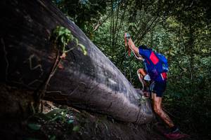 BIB: 
                            <button type="button" onclick="openModal(13519687)" class="btn btn-primary btn-sm float-right btn-popup" data-toggle="modal" data-target=".modal-high-quality">
                        <i class="fas fa-shopping-cart"></i> Add to Cart
                    </button>
                                            <button type="button" onclick="isThisMe(13519687, true)" class="btn btn-success btn-sm float-right btn-popup btn-isme hidden" data-toggle="tooltip" data-placement="bottom" title="นี่คือรูปของคุณใช่ไหม คลิกที่นี่เพื่อเอาเข้าอัลบั้ม">
                        <i class="fas fa-plus"></i> Add to album
                    </button>
                    <button type="button" onclick="isThisMe(13519687, false)" class="btn btn-warning btn-sm float-right btn-popup btn-isnotme hidden">
                        <i class="fas fa-ban"></i> Remove from album
                    </button>