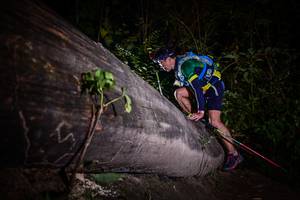 BIB: 
                            <button type="button" onclick="openModal(13517747)" class="btn btn-primary btn-sm float-right btn-popup" data-toggle="modal" data-target=".modal-high-quality">
                        <i class="fas fa-shopping-cart"></i> Add to Cart
                    </button>
                                            <button type="button" onclick="isThisMe(13517747, true)" class="btn btn-success btn-sm float-right btn-popup btn-isme hidden" data-toggle="tooltip" data-placement="bottom" title="นี่คือรูปของคุณใช่ไหม คลิกที่นี่เพื่อเอาเข้าอัลบั้ม">
                        <i class="fas fa-plus"></i> Add to album
                    </button>
                    <button type="button" onclick="isThisMe(13517747, false)" class="btn btn-warning btn-sm float-right btn-popup btn-isnotme hidden">
                        <i class="fas fa-ban"></i> Remove from album
                    </button>