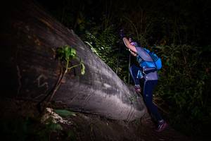 BIB: 
                            <button type="button" onclick="openModal(13517980)" class="btn btn-primary btn-sm float-right btn-popup" data-toggle="modal" data-target=".modal-high-quality">
                        <i class="fas fa-shopping-cart"></i> Add to Cart
                    </button>
                                            <button type="button" onclick="isThisMe(13517980, true)" class="btn btn-success btn-sm float-right btn-popup btn-isme hidden" data-toggle="tooltip" data-placement="bottom" title="นี่คือรูปของคุณใช่ไหม คลิกที่นี่เพื่อเอาเข้าอัลบั้ม">
                        <i class="fas fa-plus"></i> Add to album
                    </button>
                    <button type="button" onclick="isThisMe(13517980, false)" class="btn btn-warning btn-sm float-right btn-popup btn-isnotme hidden">
                        <i class="fas fa-ban"></i> Remove from album
                    </button>