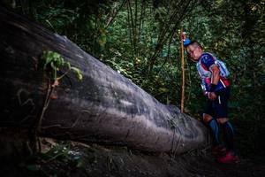 BIB: 
                            <button type="button" onclick="openModal(13519539)" class="btn btn-primary btn-sm float-right btn-popup" data-toggle="modal" data-target=".modal-high-quality">
                        <i class="fas fa-shopping-cart"></i> Add to Cart
                    </button>
                                            <button type="button" onclick="isThisMe(13519539, true)" class="btn btn-success btn-sm float-right btn-popup btn-isme hidden" data-toggle="tooltip" data-placement="bottom" title="นี่คือรูปของคุณใช่ไหม คลิกที่นี่เพื่อเอาเข้าอัลบั้ม">
                        <i class="fas fa-plus"></i> Add to album
                    </button>
                    <button type="button" onclick="isThisMe(13519539, false)" class="btn btn-warning btn-sm float-right btn-popup btn-isnotme hidden">
                        <i class="fas fa-ban"></i> Remove from album
                    </button>