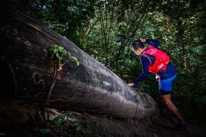 BIB: 
                            <button type="button" onclick="openModal(13519376)" class="btn btn-primary btn-sm float-right btn-popup" data-toggle="modal" data-target=".modal-high-quality">
                        <i class="fas fa-shopping-cart"></i> Add to Cart
                    </button>
                                            <button type="button" onclick="isThisMe(13519376, true)" class="btn btn-success btn-sm float-right btn-popup btn-isme hidden" data-toggle="tooltip" data-placement="bottom" title="นี่คือรูปของคุณใช่ไหม คลิกที่นี่เพื่อเอาเข้าอัลบั้ม">
                        <i class="fas fa-plus"></i> Add to album
                    </button>
                    <button type="button" onclick="isThisMe(13519376, false)" class="btn btn-warning btn-sm float-right btn-popup btn-isnotme hidden">
                        <i class="fas fa-ban"></i> Remove from album
                    </button>