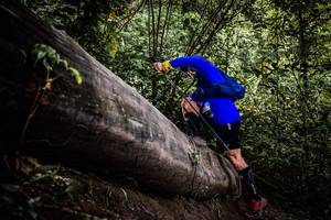 BIB: 
                            <button type="button" onclick="openModal(13523565)" class="btn btn-primary btn-sm float-right btn-popup" data-toggle="modal" data-target=".modal-high-quality">
                        <i class="fas fa-shopping-cart"></i> Add to Cart
                    </button>
                                            <button type="button" onclick="isThisMe(13523565, true)" class="btn btn-success btn-sm float-right btn-popup btn-isme hidden" data-toggle="tooltip" data-placement="bottom" title="นี่คือรูปของคุณใช่ไหม คลิกที่นี่เพื่อเอาเข้าอัลบั้ม">
                        <i class="fas fa-plus"></i> Add to album
                    </button>
                    <button type="button" onclick="isThisMe(13523565, false)" class="btn btn-warning btn-sm float-right btn-popup btn-isnotme hidden">
                        <i class="fas fa-ban"></i> Remove from album
                    </button>