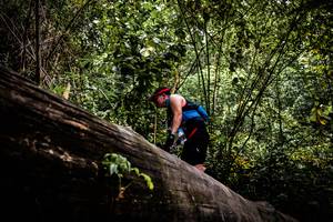 BIB: 
                            <button type="button" onclick="openModal(13525933)" class="btn btn-primary btn-sm float-right btn-popup" data-toggle="modal" data-target=".modal-high-quality">
                        <i class="fas fa-shopping-cart"></i> Add to Cart
                    </button>
                                            <button type="button" onclick="isThisMe(13525933, true)" class="btn btn-success btn-sm float-right btn-popup btn-isme hidden" data-toggle="tooltip" data-placement="bottom" title="นี่คือรูปของคุณใช่ไหม คลิกที่นี่เพื่อเอาเข้าอัลบั้ม">
                        <i class="fas fa-plus"></i> Add to album
                    </button>
                    <button type="button" onclick="isThisMe(13525933, false)" class="btn btn-warning btn-sm float-right btn-popup btn-isnotme hidden">
                        <i class="fas fa-ban"></i> Remove from album
                    </button>