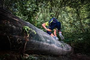 BIB: 
                            <button type="button" onclick="openModal(13519974)" class="btn btn-primary btn-sm float-right btn-popup" data-toggle="modal" data-target=".modal-high-quality">
                        <i class="fas fa-shopping-cart"></i> Add to Cart
                    </button>
                                            <button type="button" onclick="isThisMe(13519974, true)" class="btn btn-success btn-sm float-right btn-popup btn-isme hidden" data-toggle="tooltip" data-placement="bottom" title="นี่คือรูปของคุณใช่ไหม คลิกที่นี่เพื่อเอาเข้าอัลบั้ม">
                        <i class="fas fa-plus"></i> Add to album
                    </button>
                    <button type="button" onclick="isThisMe(13519974, false)" class="btn btn-warning btn-sm float-right btn-popup btn-isnotme hidden">
                        <i class="fas fa-ban"></i> Remove from album
                    </button>