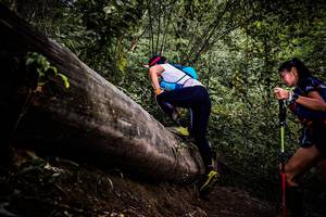 BIB: 
                            <button type="button" onclick="openModal(13525615)" class="btn btn-primary btn-sm float-right btn-popup" data-toggle="modal" data-target=".modal-high-quality">
                        <i class="fas fa-shopping-cart"></i> Add to Cart
                    </button>
                                            <button type="button" onclick="isThisMe(13525615, true)" class="btn btn-success btn-sm float-right btn-popup btn-isme hidden" data-toggle="tooltip" data-placement="bottom" title="นี่คือรูปของคุณใช่ไหม คลิกที่นี่เพื่อเอาเข้าอัลบั้ม">
                        <i class="fas fa-plus"></i> Add to album
                    </button>
                    <button type="button" onclick="isThisMe(13525615, false)" class="btn btn-warning btn-sm float-right btn-popup btn-isnotme hidden">
                        <i class="fas fa-ban"></i> Remove from album
                    </button>