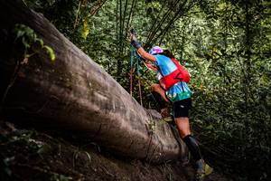 BIB: 
                            <button type="button" onclick="openModal(13523430)" class="btn btn-primary btn-sm float-right btn-popup" data-toggle="modal" data-target=".modal-high-quality">
                        <i class="fas fa-shopping-cart"></i> Add to Cart
                    </button>
                                            <button type="button" onclick="isThisMe(13523430, true)" class="btn btn-success btn-sm float-right btn-popup btn-isme hidden" data-toggle="tooltip" data-placement="bottom" title="นี่คือรูปของคุณใช่ไหม คลิกที่นี่เพื่อเอาเข้าอัลบั้ม">
                        <i class="fas fa-plus"></i> Add to album
                    </button>
                    <button type="button" onclick="isThisMe(13523430, false)" class="btn btn-warning btn-sm float-right btn-popup btn-isnotme hidden">
                        <i class="fas fa-ban"></i> Remove from album
                    </button>