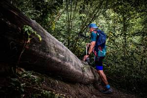 BIB: 
                            <button type="button" onclick="openModal(13523716)" class="btn btn-primary btn-sm float-right btn-popup" data-toggle="modal" data-target=".modal-high-quality">
                        <i class="fas fa-shopping-cart"></i> Add to Cart
                    </button>
                                            <button type="button" onclick="isThisMe(13523716, true)" class="btn btn-success btn-sm float-right btn-popup btn-isme hidden" data-toggle="tooltip" data-placement="bottom" title="นี่คือรูปของคุณใช่ไหม คลิกที่นี่เพื่อเอาเข้าอัลบั้ม">
                        <i class="fas fa-plus"></i> Add to album
                    </button>
                    <button type="button" onclick="isThisMe(13523716, false)" class="btn btn-warning btn-sm float-right btn-popup btn-isnotme hidden">
                        <i class="fas fa-ban"></i> Remove from album
                    </button>