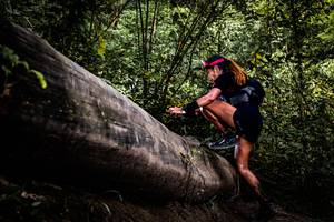 BIB: 
                            <button type="button" onclick="openModal(13525697)" class="btn btn-primary btn-sm float-right btn-popup" data-toggle="modal" data-target=".modal-high-quality">
                        <i class="fas fa-shopping-cart"></i> Add to Cart
                    </button>
                                            <button type="button" onclick="isThisMe(13525697, true)" class="btn btn-success btn-sm float-right btn-popup btn-isme hidden" data-toggle="tooltip" data-placement="bottom" title="นี่คือรูปของคุณใช่ไหม คลิกที่นี่เพื่อเอาเข้าอัลบั้ม">
                        <i class="fas fa-plus"></i> Add to album
                    </button>
                    <button type="button" onclick="isThisMe(13525697, false)" class="btn btn-warning btn-sm float-right btn-popup btn-isnotme hidden">
                        <i class="fas fa-ban"></i> Remove from album
                    </button>