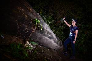 BIB: 
                            <button type="button" onclick="openModal(13518786)" class="btn btn-primary btn-sm float-right btn-popup" data-toggle="modal" data-target=".modal-high-quality">
                        <i class="fas fa-shopping-cart"></i> Add to Cart
                    </button>
                                            <button type="button" onclick="isThisMe(13518786, true)" class="btn btn-success btn-sm float-right btn-popup btn-isme hidden" data-toggle="tooltip" data-placement="bottom" title="นี่คือรูปของคุณใช่ไหม คลิกที่นี่เพื่อเอาเข้าอัลบั้ม">
                        <i class="fas fa-plus"></i> Add to album
                    </button>
                    <button type="button" onclick="isThisMe(13518786, false)" class="btn btn-warning btn-sm float-right btn-popup btn-isnotme hidden">
                        <i class="fas fa-ban"></i> Remove from album
                    </button>