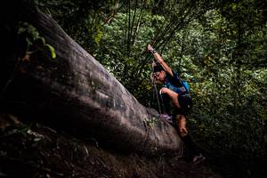 BIB: 
                            <button type="button" onclick="openModal(13525535)" class="btn btn-primary btn-sm float-right btn-popup" data-toggle="modal" data-target=".modal-high-quality">
                        <i class="fas fa-shopping-cart"></i> Add to Cart
                    </button>
                                            <button type="button" onclick="isThisMe(13525535, true)" class="btn btn-success btn-sm float-right btn-popup btn-isme hidden" data-toggle="tooltip" data-placement="bottom" title="นี่คือรูปของคุณใช่ไหม คลิกที่นี่เพื่อเอาเข้าอัลบั้ม">
                        <i class="fas fa-plus"></i> Add to album
                    </button>
                    <button type="button" onclick="isThisMe(13525535, false)" class="btn btn-warning btn-sm float-right btn-popup btn-isnotme hidden">
                        <i class="fas fa-ban"></i> Remove from album
                    </button>