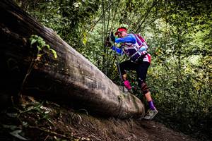 BIB: 
                            <button type="button" onclick="openModal(13525861)" class="btn btn-primary btn-sm float-right btn-popup" data-toggle="modal" data-target=".modal-high-quality">
                        <i class="fas fa-shopping-cart"></i> Add to Cart
                    </button>
                                            <button type="button" onclick="isThisMe(13525861, true)" class="btn btn-success btn-sm float-right btn-popup btn-isme hidden" data-toggle="tooltip" data-placement="bottom" title="นี่คือรูปของคุณใช่ไหม คลิกที่นี่เพื่อเอาเข้าอัลบั้ม">
                        <i class="fas fa-plus"></i> Add to album
                    </button>
                    <button type="button" onclick="isThisMe(13525861, false)" class="btn btn-warning btn-sm float-right btn-popup btn-isnotme hidden">
                        <i class="fas fa-ban"></i> Remove from album
                    </button>